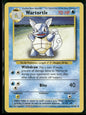 Wartortle #42