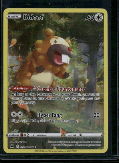 Bidoof #GG29