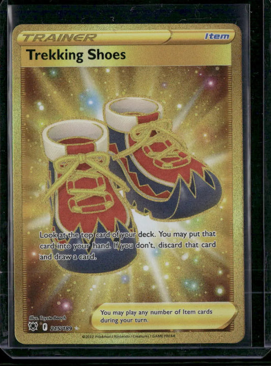 Trekking Shoes #215