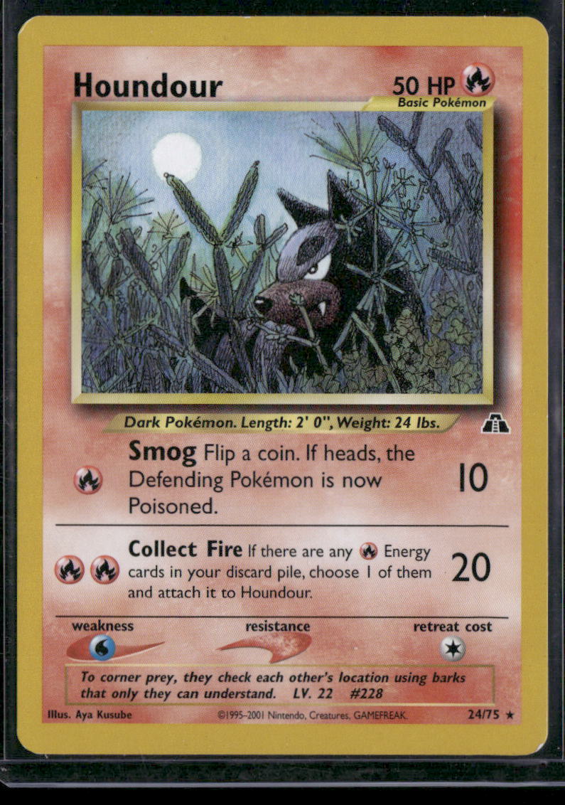 Houndour #24
