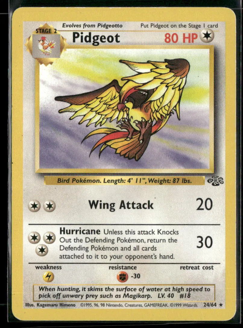 Pidgeot #24