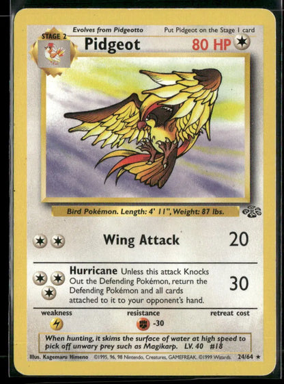 Pidgeot #24