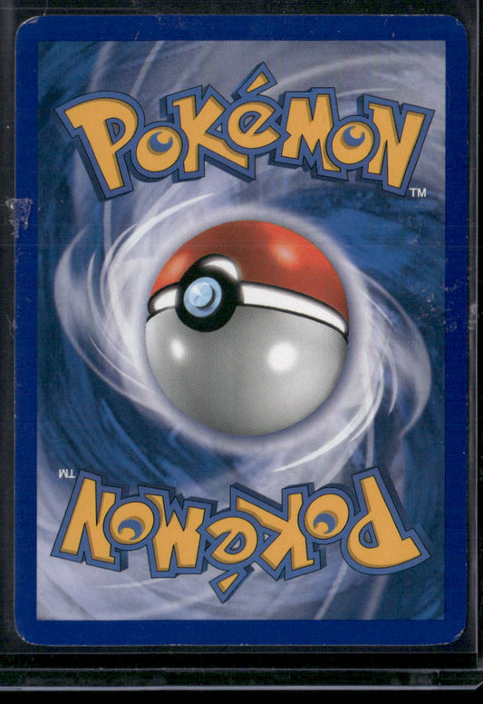 Ursaring #18