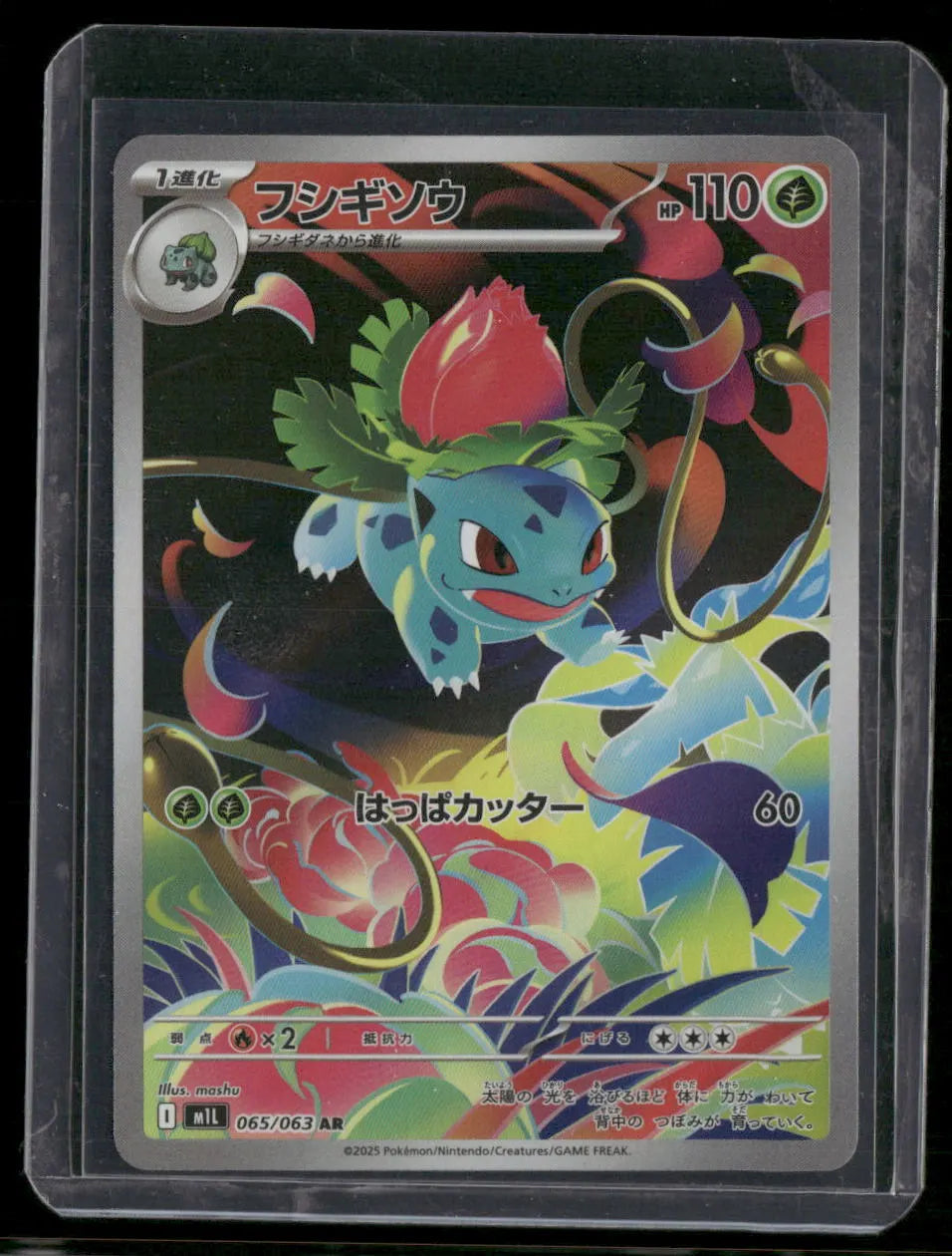 Ivysaur #065