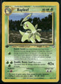 cardunion-img-mzy2in