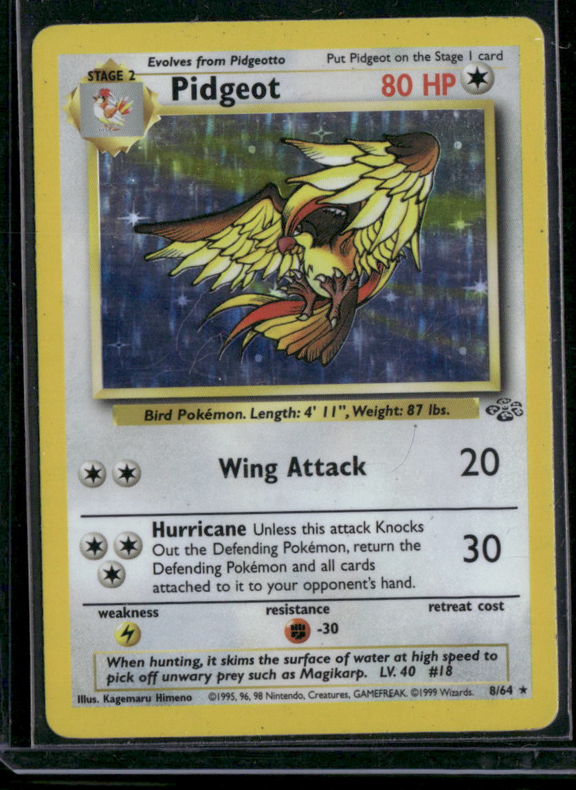 Pidgeot #8