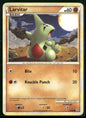 Larvitar #51