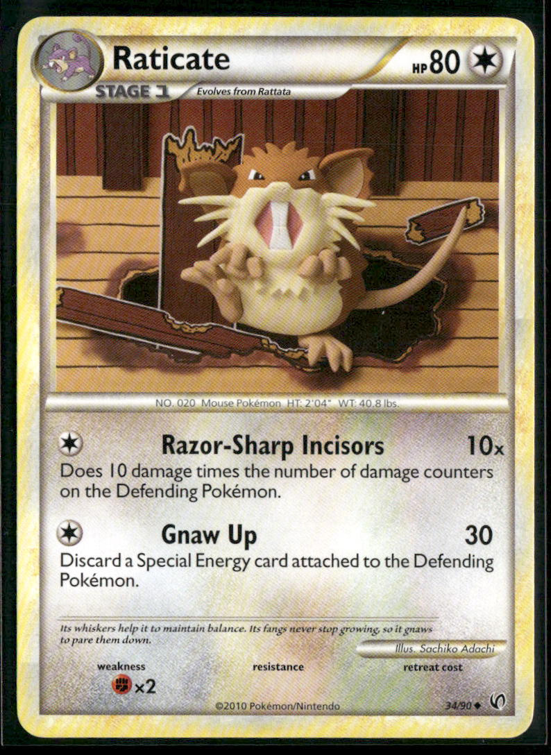 Raticate #34