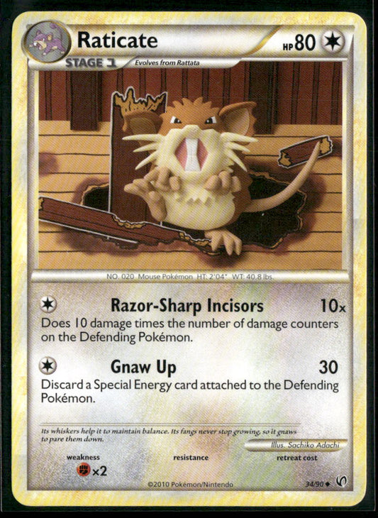 Raticate #34