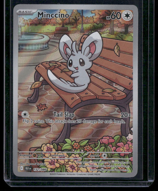 Minccino #152