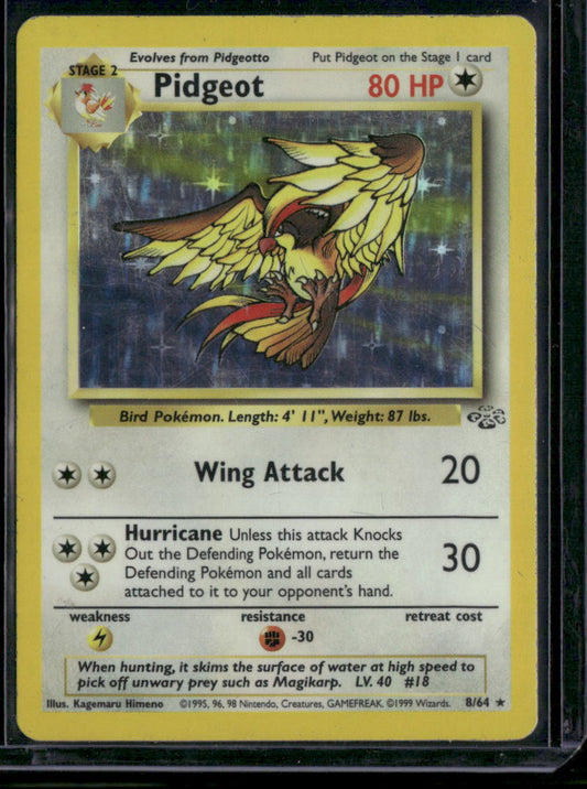 Pidgeot #8
