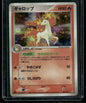 Rapidash #23