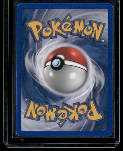 Team Aqua's Walrein #6