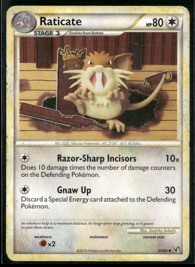 Raticate #34