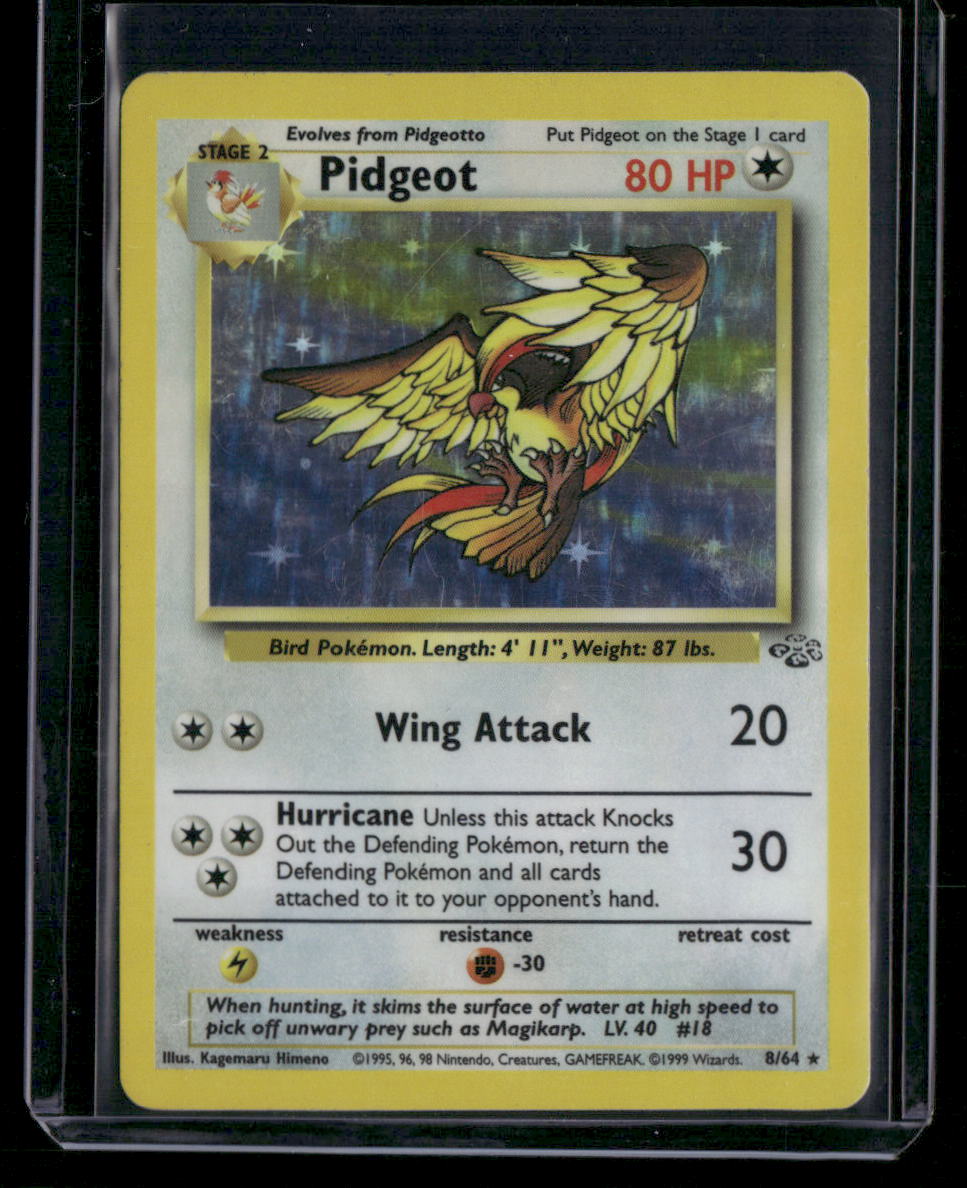 Pidgeot #8