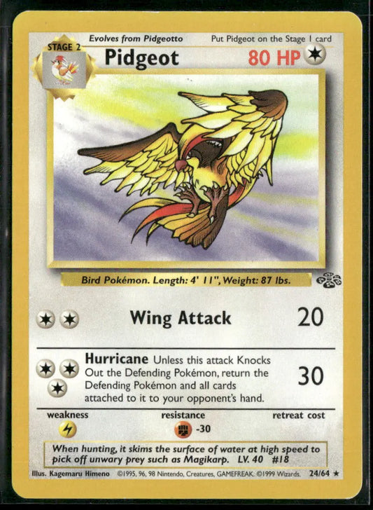 Pidgeot #24