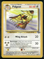 Pidgeot #24
