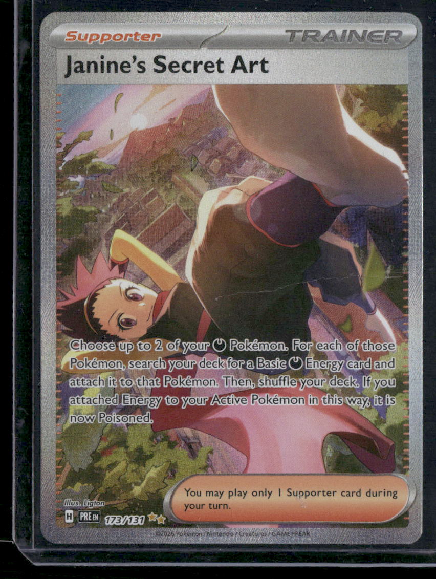 Janine's Secret Art #173