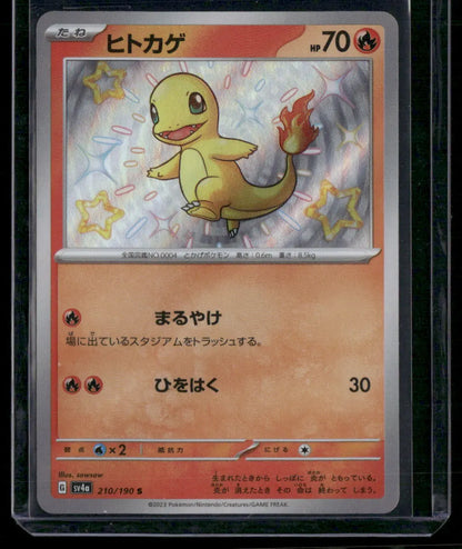 Charmander #210