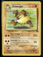 Primeape #43