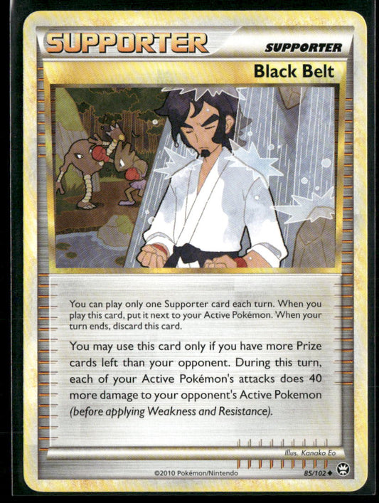 Black Belt #85