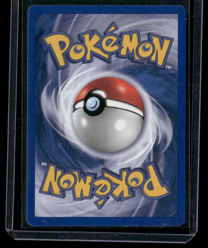 Ursaring #34