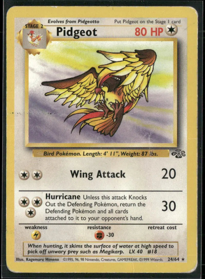 Pidgeot #24