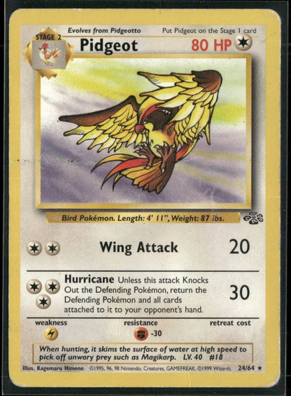 Pidgeot #24