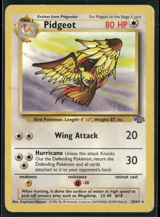 Pidgeot #24