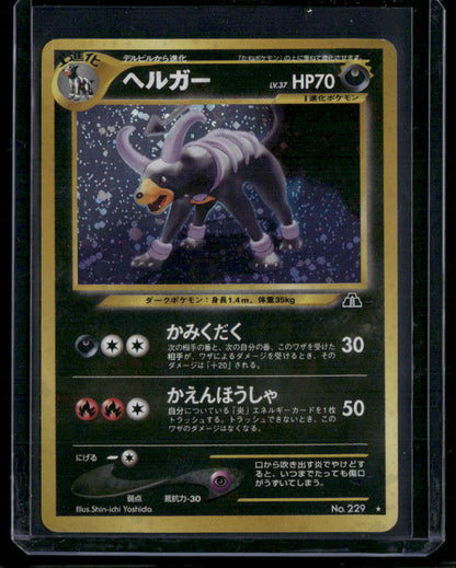 Houndoom #229