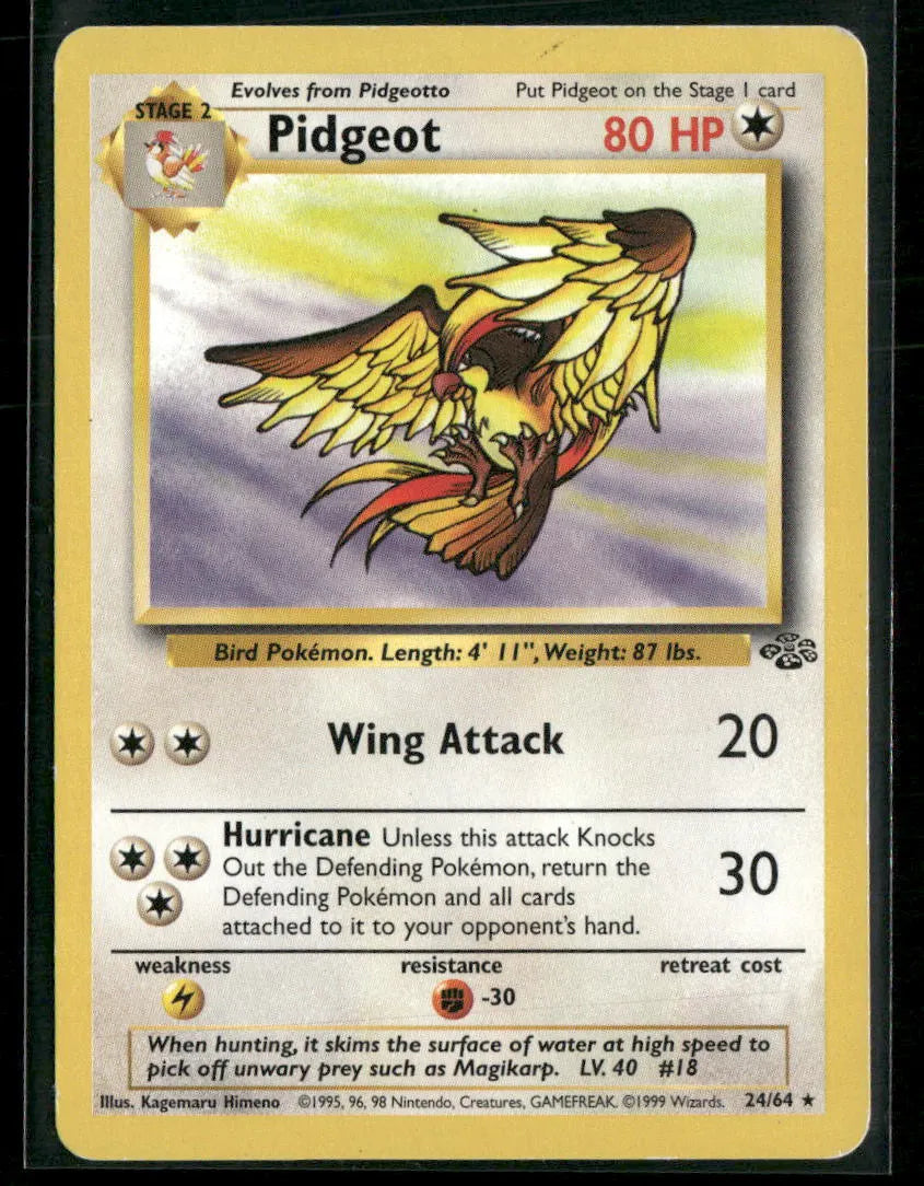 Pidgeot #24