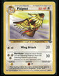 Pidgeot #24