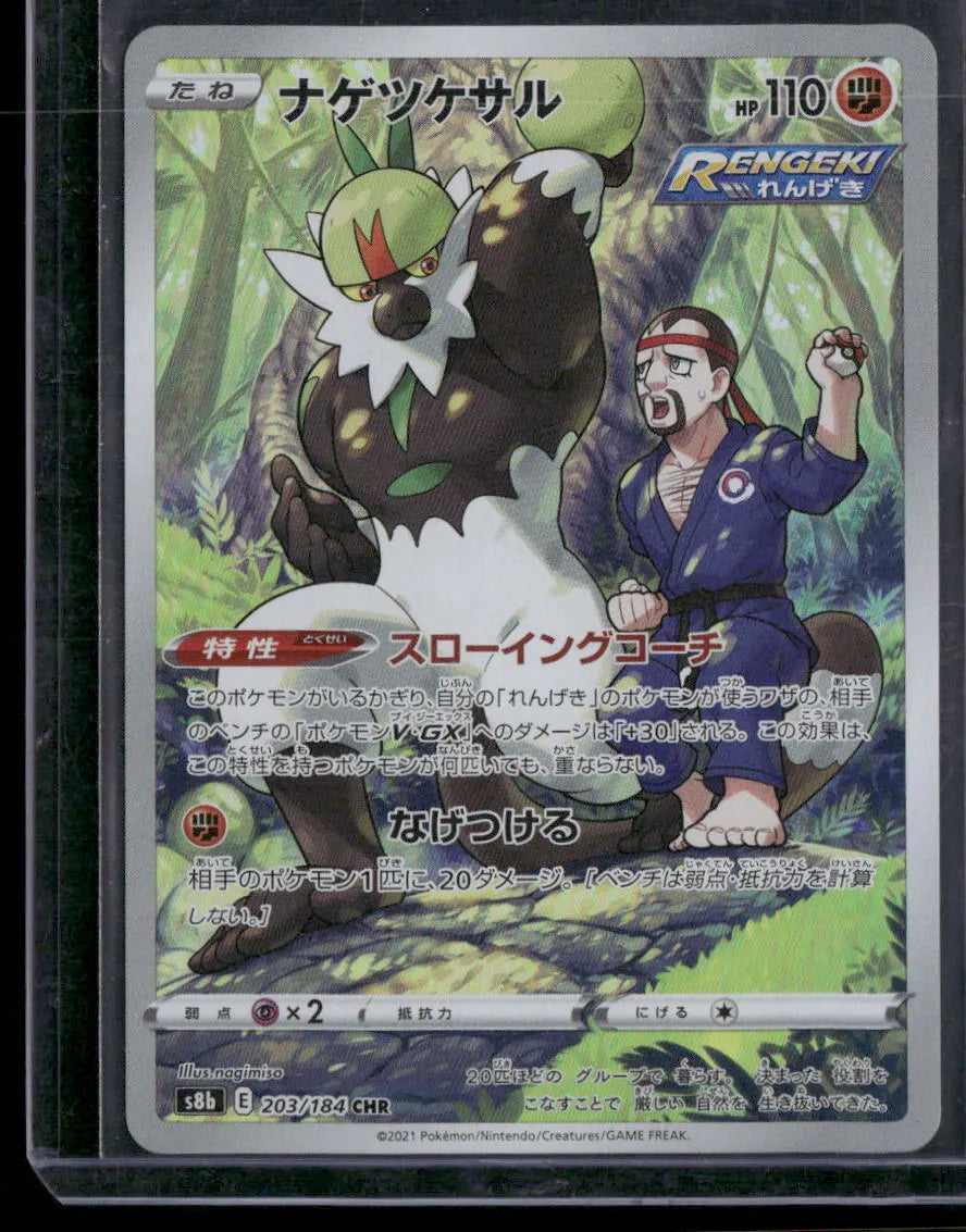 Passimian #203