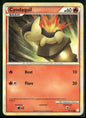 Cyndaquil #61
