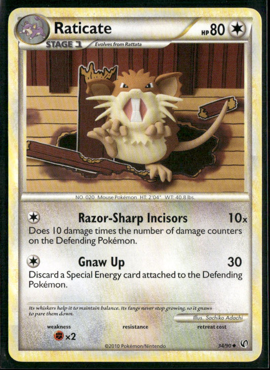 Raticate #34