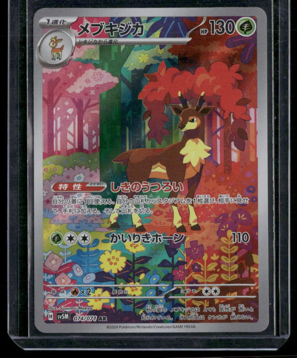 Sawsbuck #74