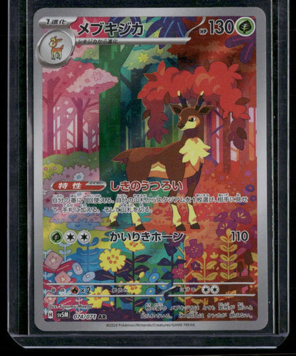 Sawsbuck #74