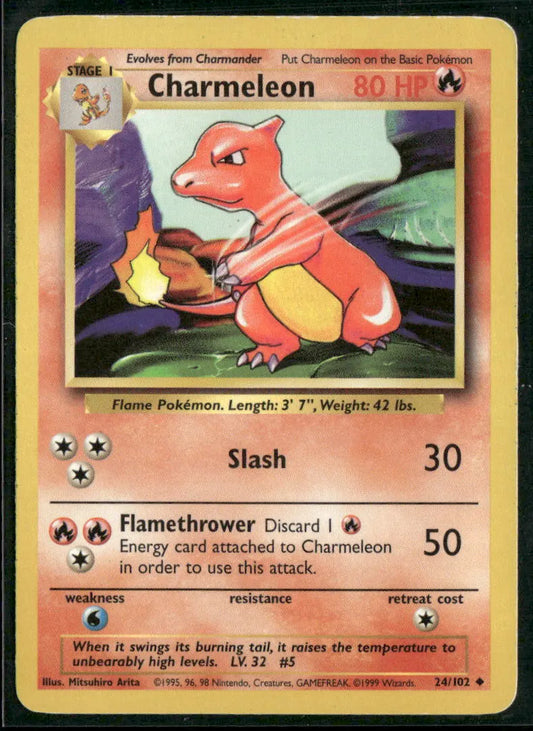 Charmeleon #24