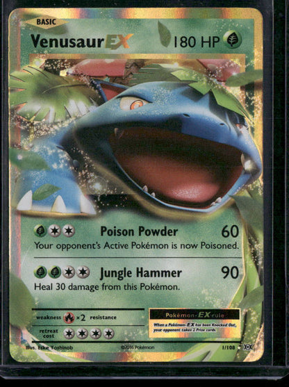 Venusaur-EX #1