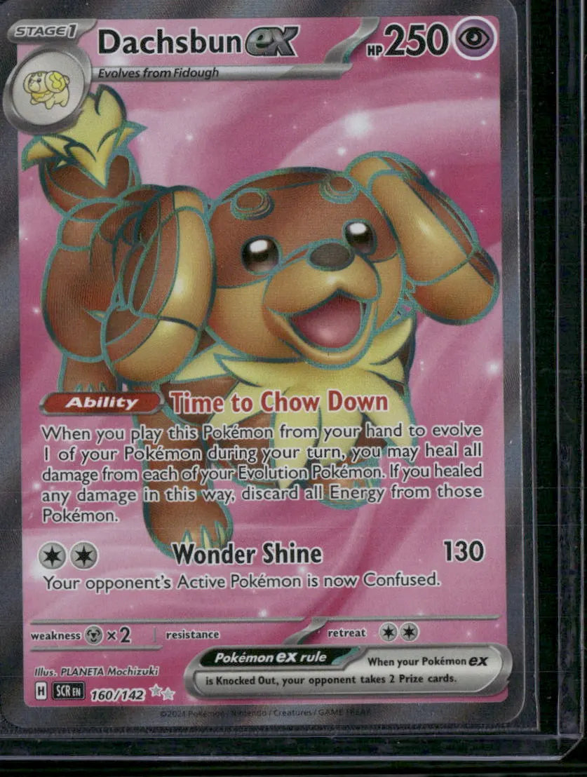 Dachsbun ex #160