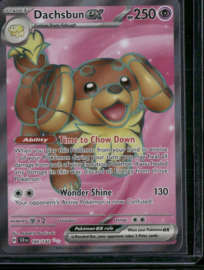 Dachsbun ex #160