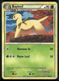 Bayleef #40
