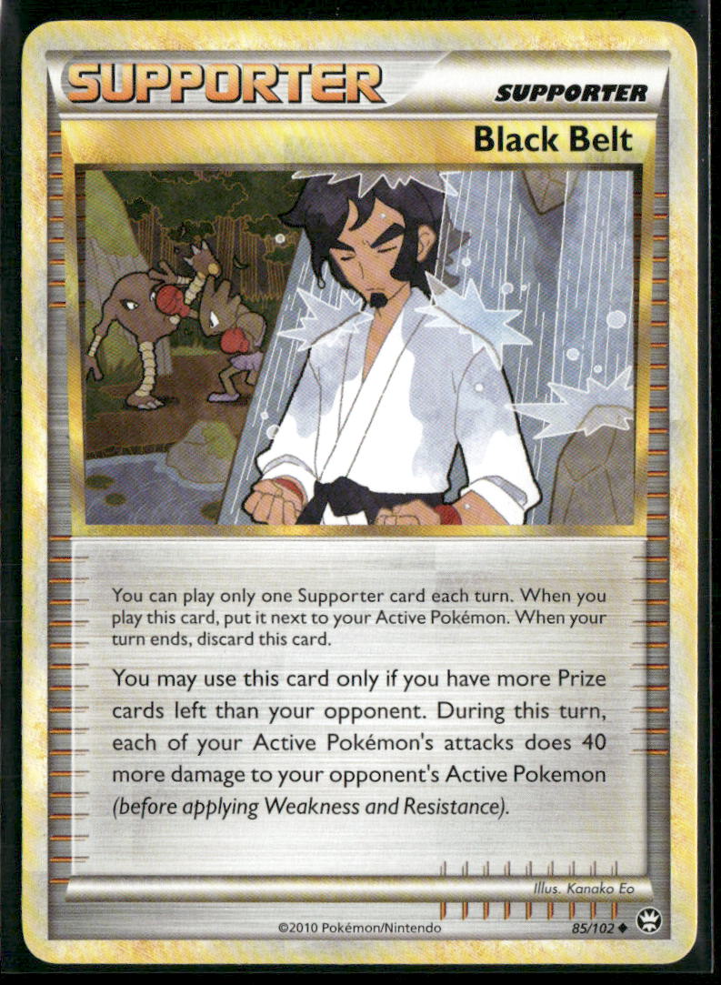 Black Belt #85