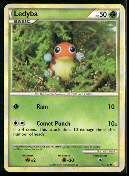Ledyba #71