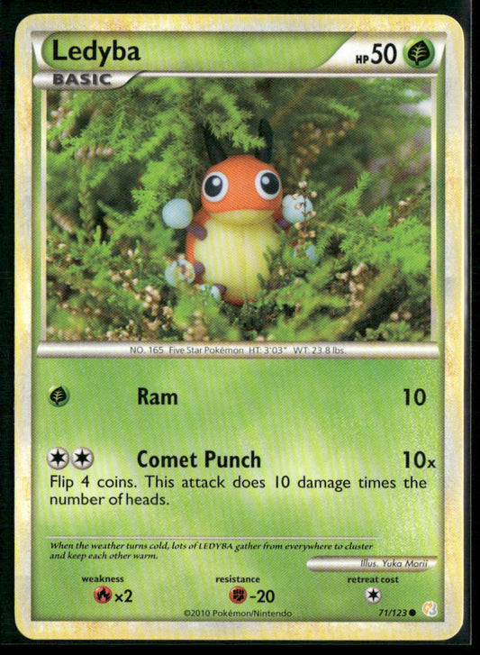 Ledyba #71