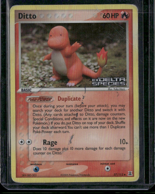 Ditto #37