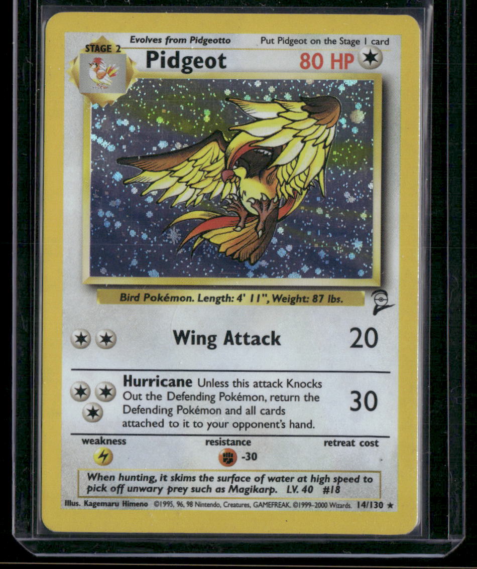 Pidgeot #14