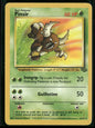 Pinsir #25