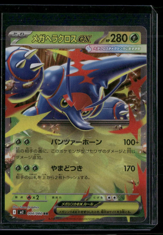 Heracross #004