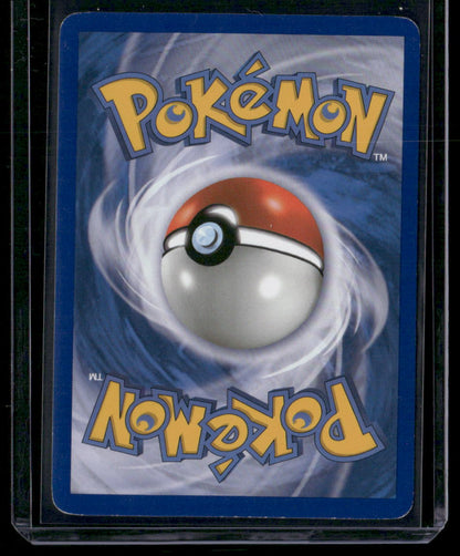 Noctowl #8